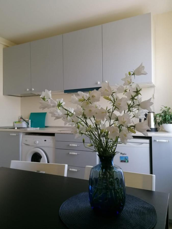 Saldus Apartment Anna מראה חיצוני תמונה